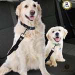 Dog Seat Belt for Car, Adjustable Nylon Pet Seatbelt, Supports All Cars, Dog Car Leash Seat Belt, Seatbelt for Dogs, Cats & Ferrets Travel Harness