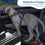Dog Seat Belt for Car, Adjustable Dog Seatbelts for Vehicle, Nylon Pet Safety Seat Belts for Travel
